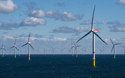 Protection des oiseaux dans parcs éoliens