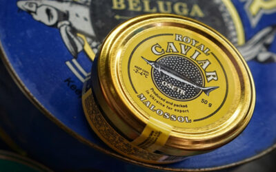 Caviar sans tuer